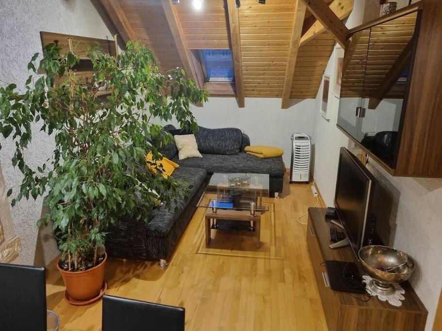 Gemuetliche Dachgeschosswohnung Эрфурт Экстерьер фото