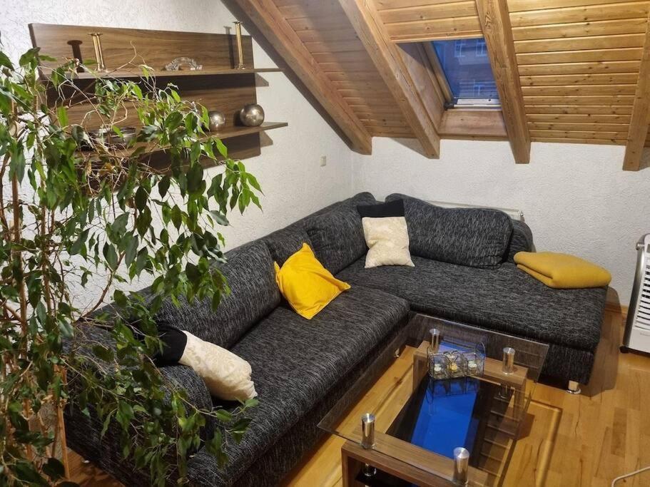 Gemuetliche Dachgeschosswohnung Эрфурт Экстерьер фото