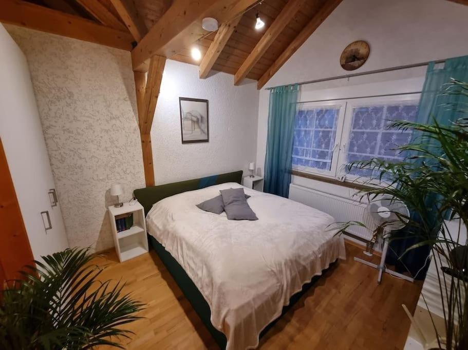 Gemuetliche Dachgeschosswohnung Эрфурт Экстерьер фото